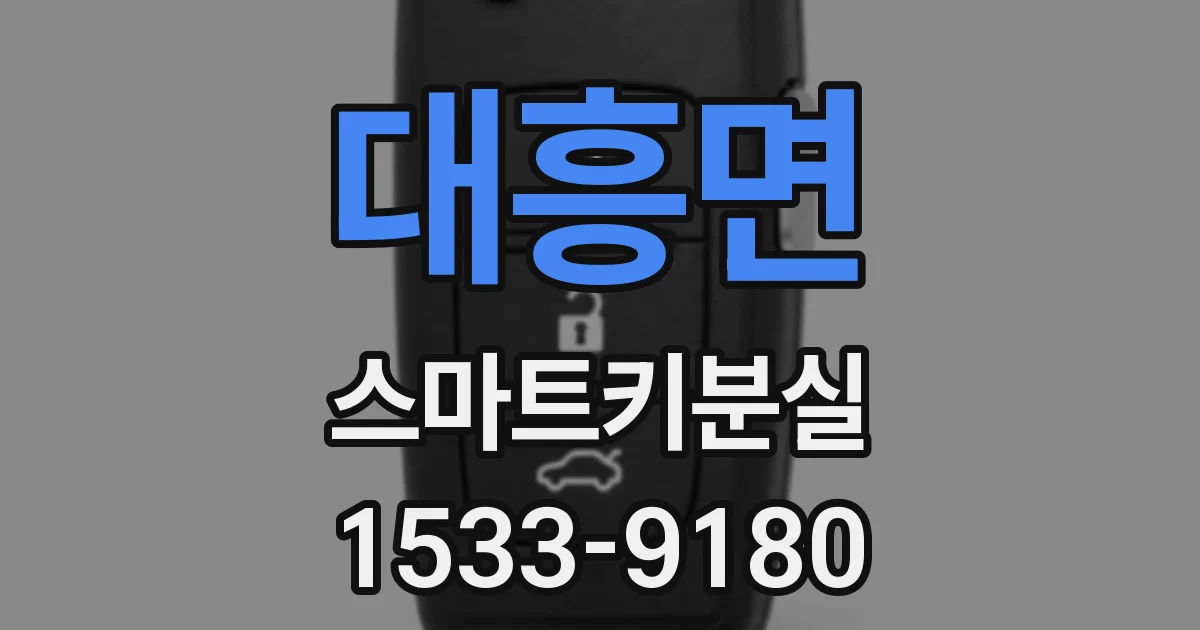 대흥면 스마트키분실