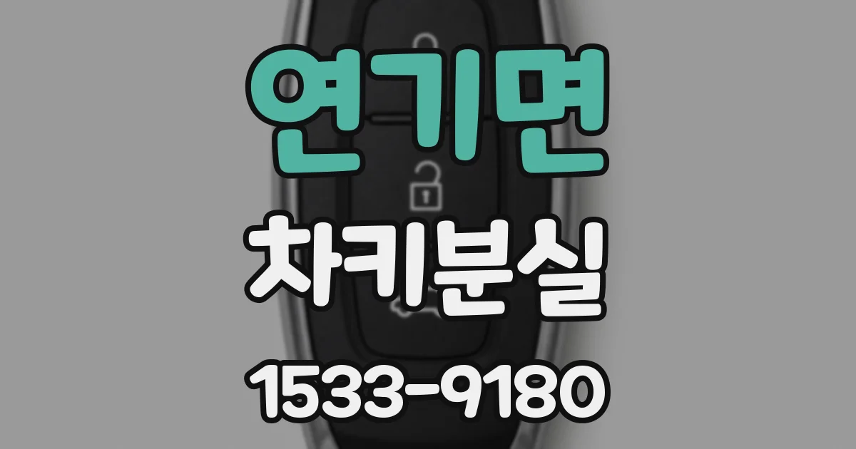 연기면 차키분실