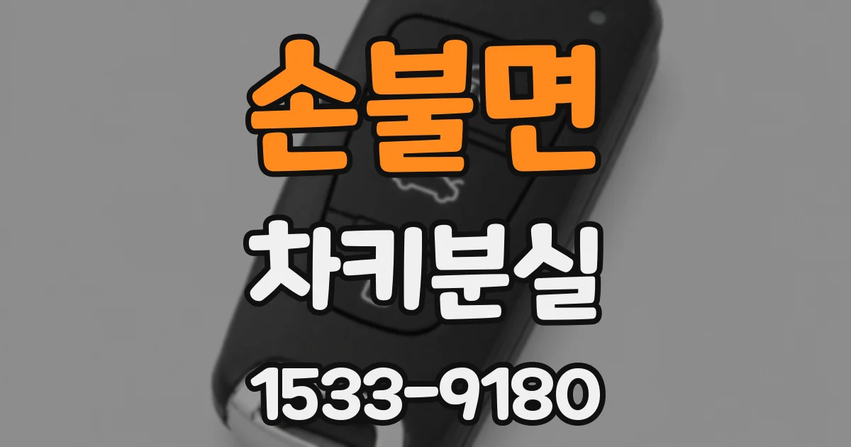 손불면 차키분실