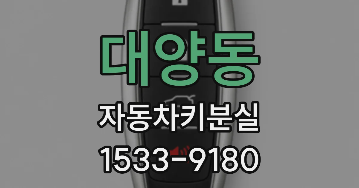 대양동 자동차키분실