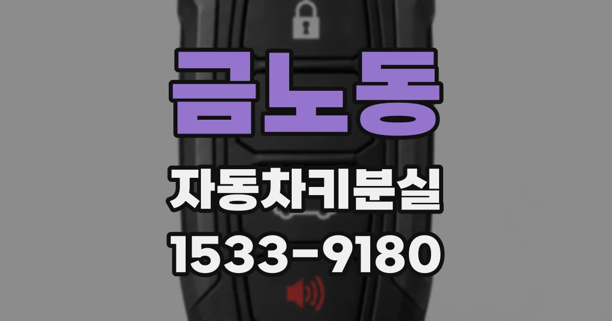 금노동 자동차키분실