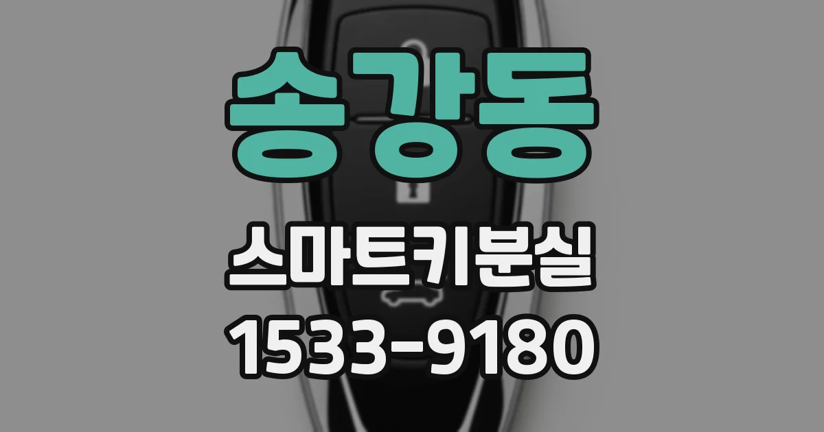 송강동 스마트키분실