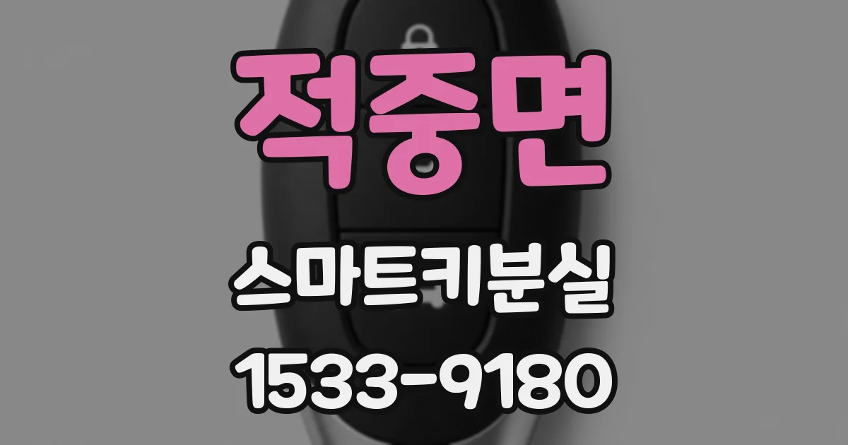 적중면 스마트키분실