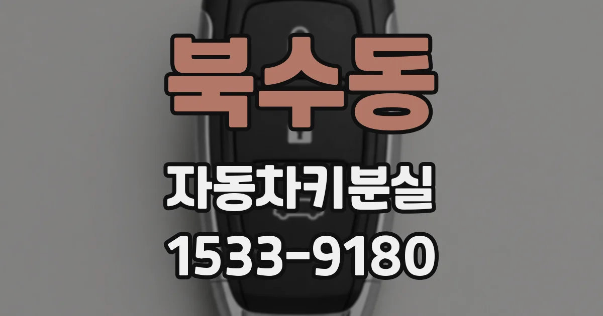 북수동 자동차키분실