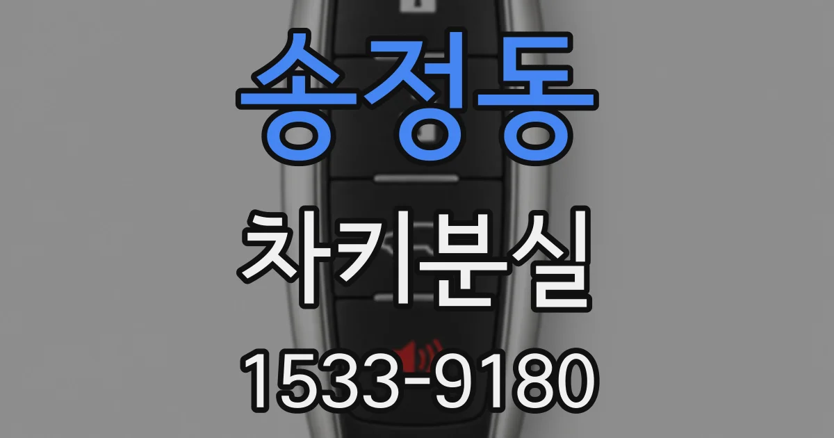 송정동 차키분실