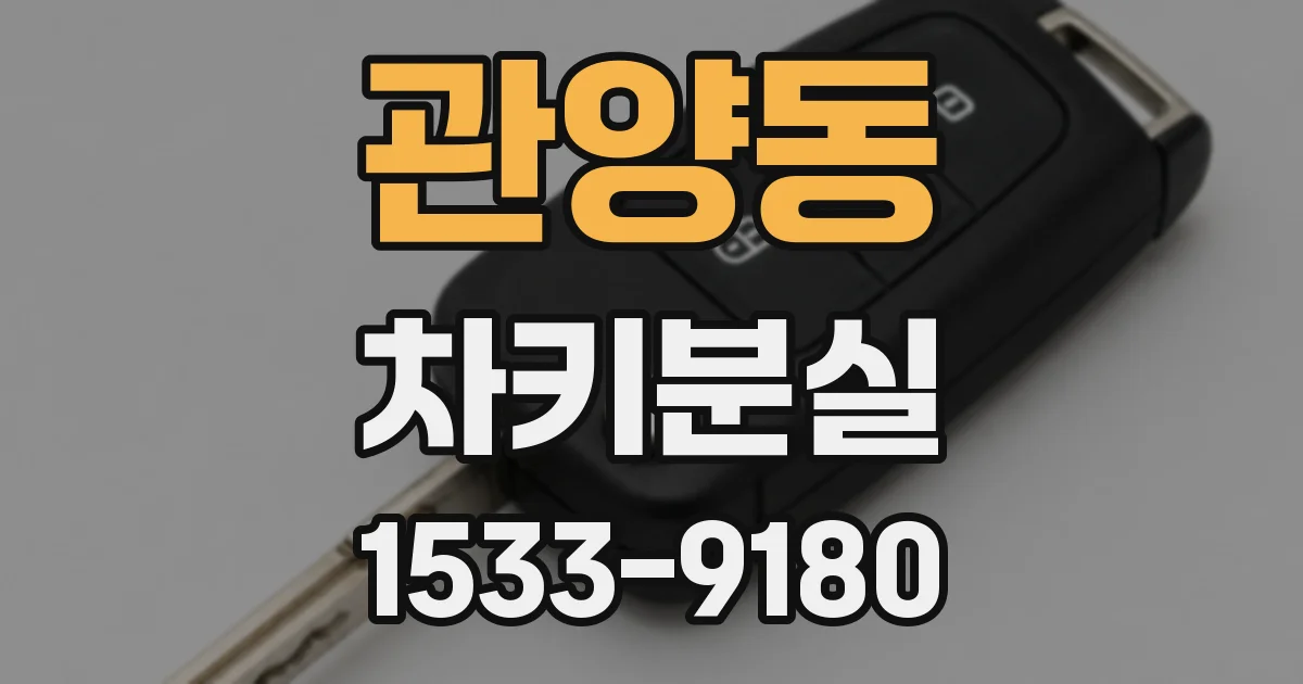 관양동 차키분실