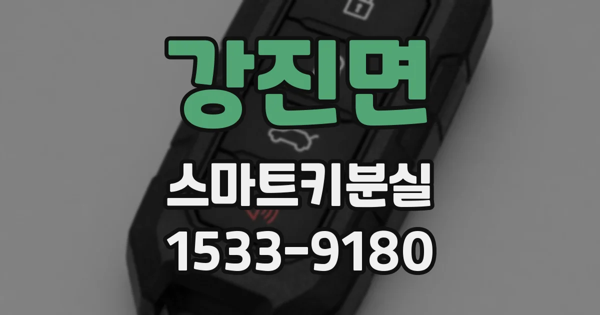 강진면 스마트키분실