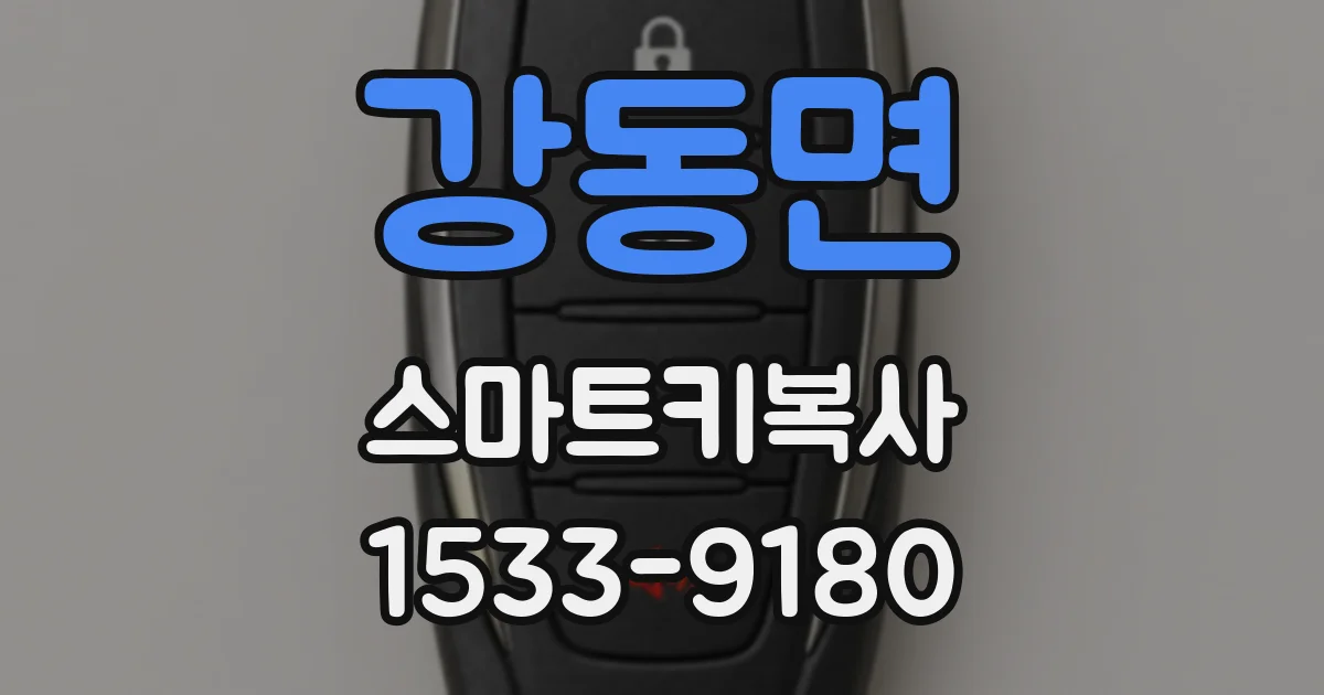 강동면 스마트키복사