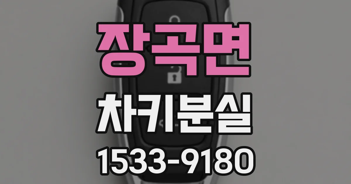 장곡면 차키분실