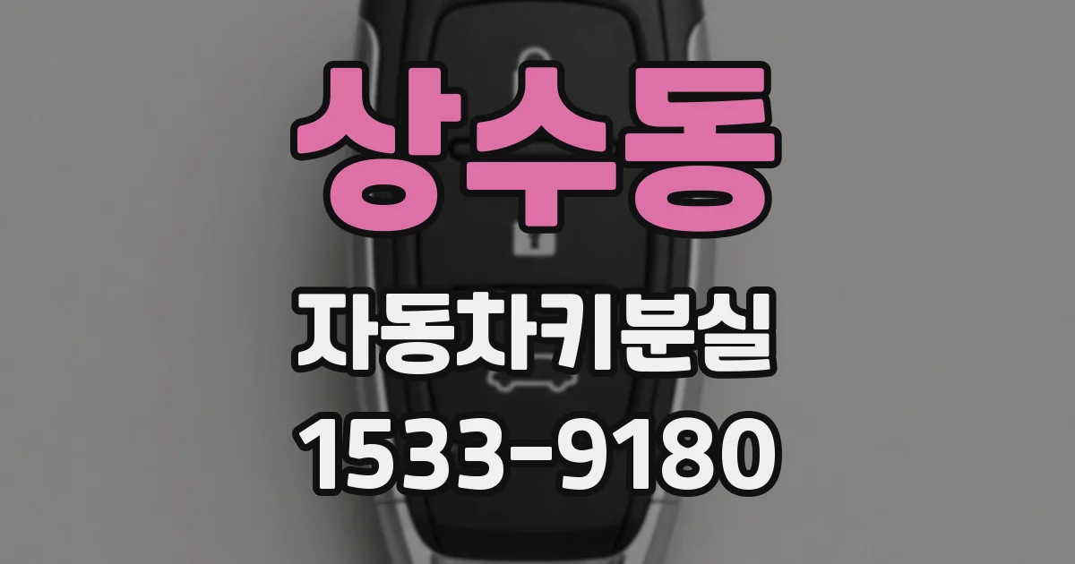 상수동 자동차키분실