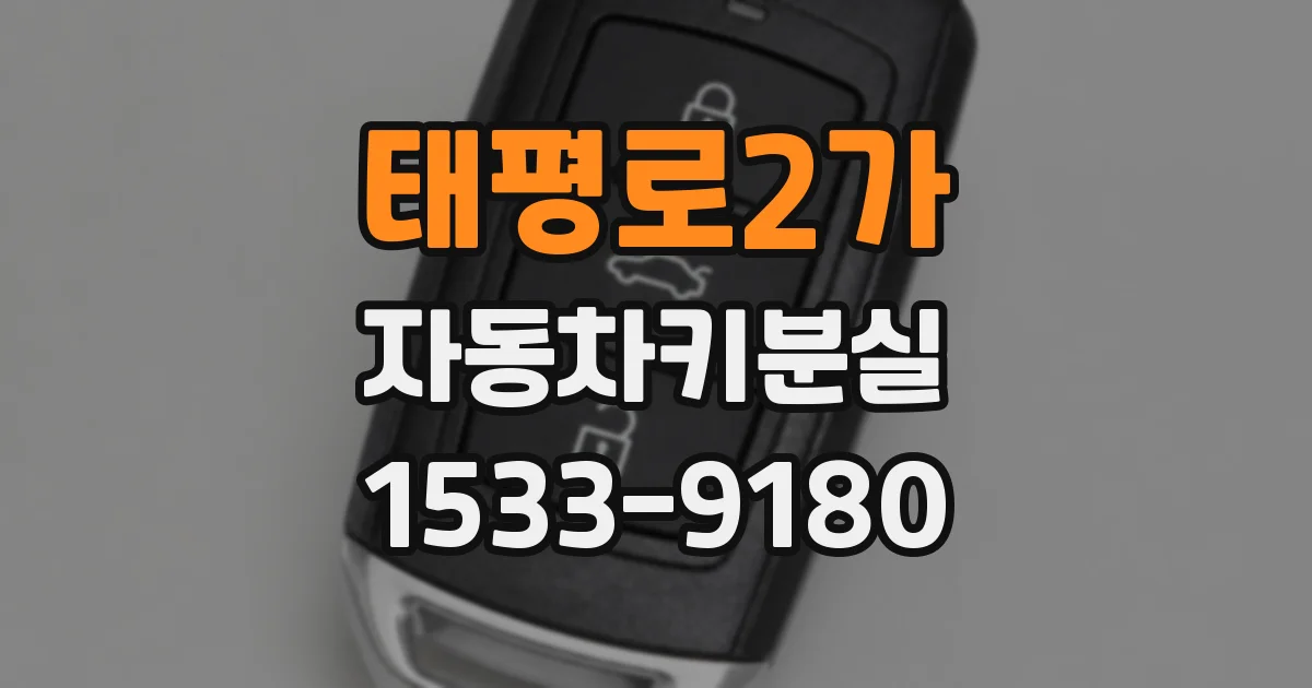 태평로2가 자동차키분실