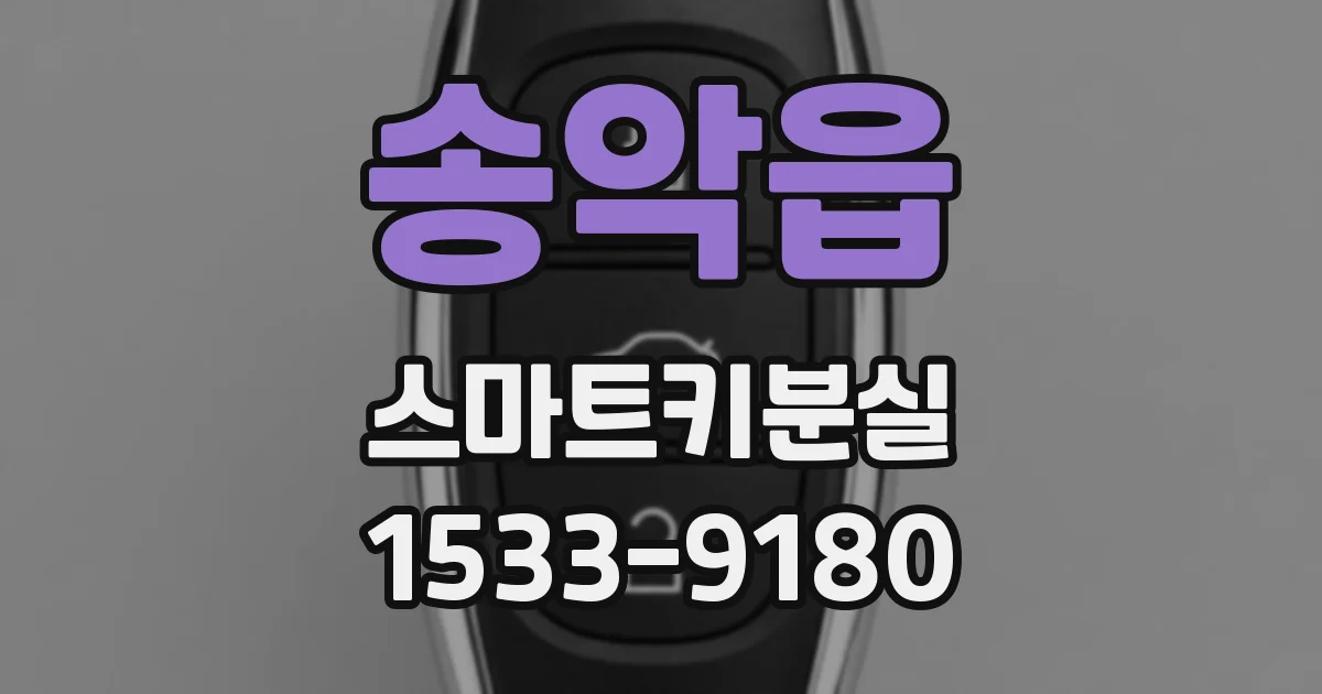 송악읍 스마트키분실