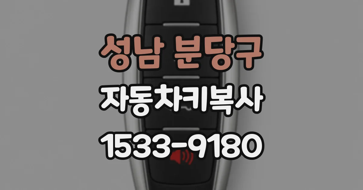 성남 분당구 자동차키복사