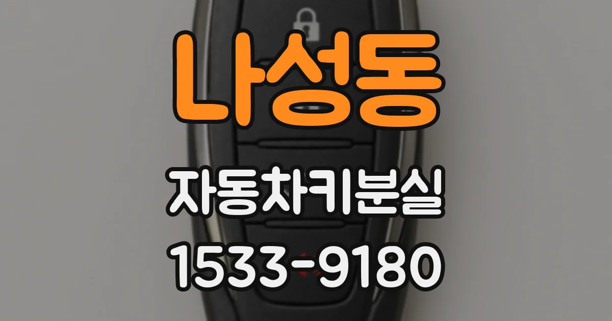 나성동 자동차키분실
