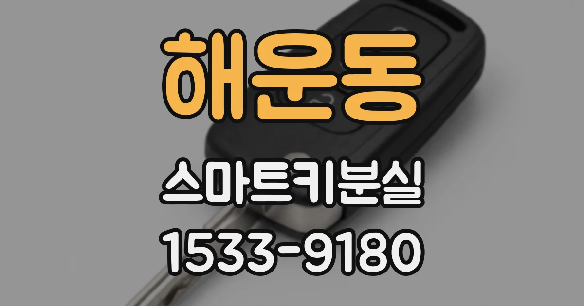 해운동 스마트키분실