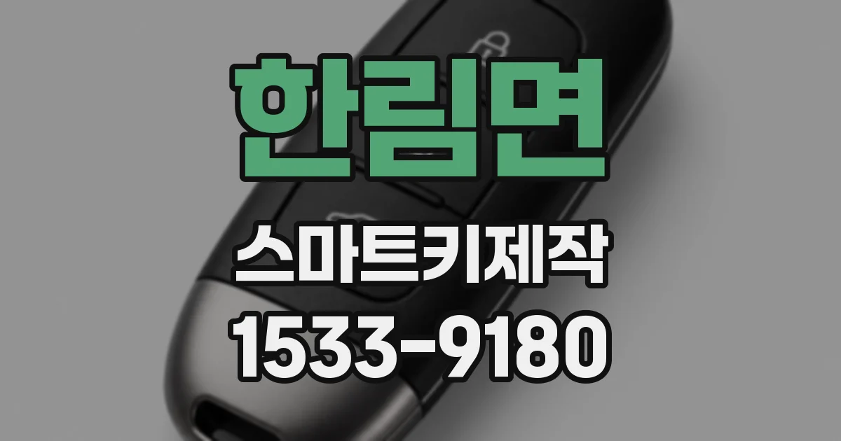 한림면 스마트키제작