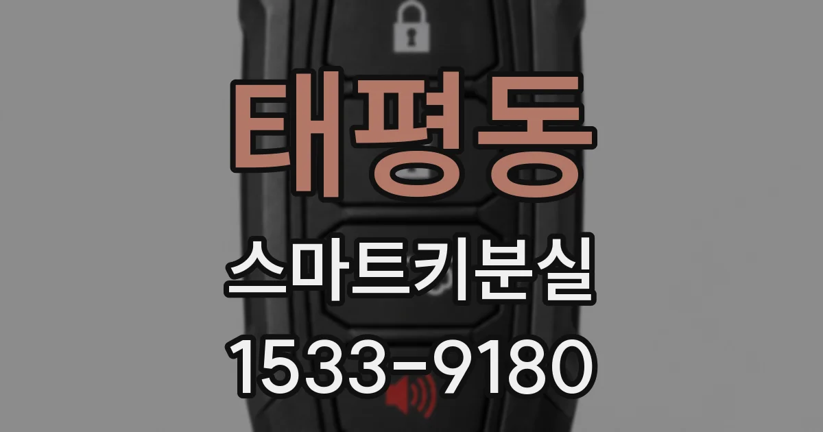 태평동 스마트키분실