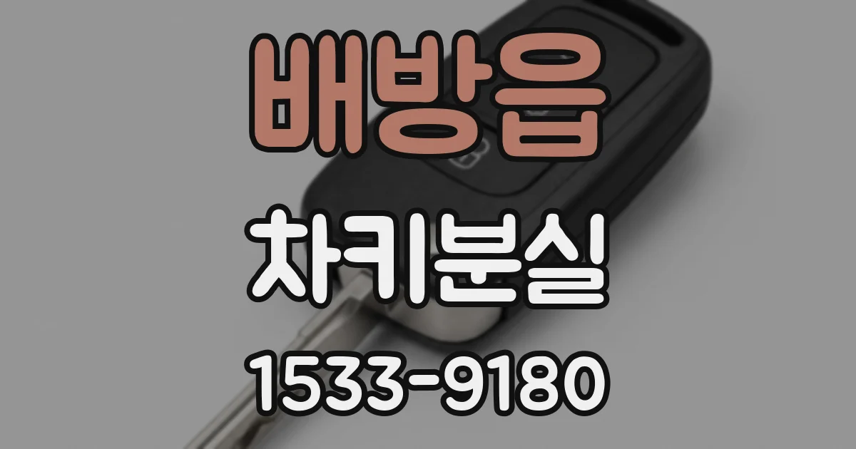배방읍 차키분실