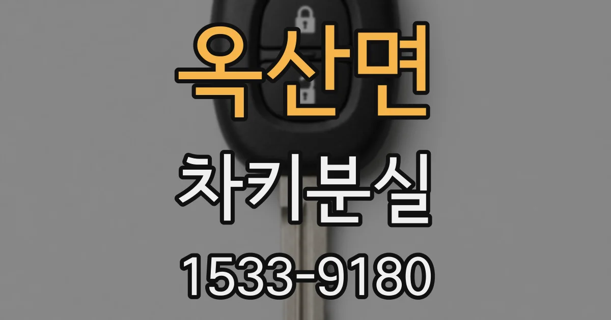 옥산면 차키분실