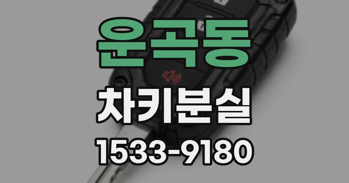 운곡동 차키분실