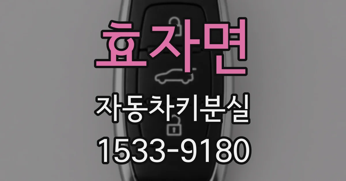 효자면 자동차키분실