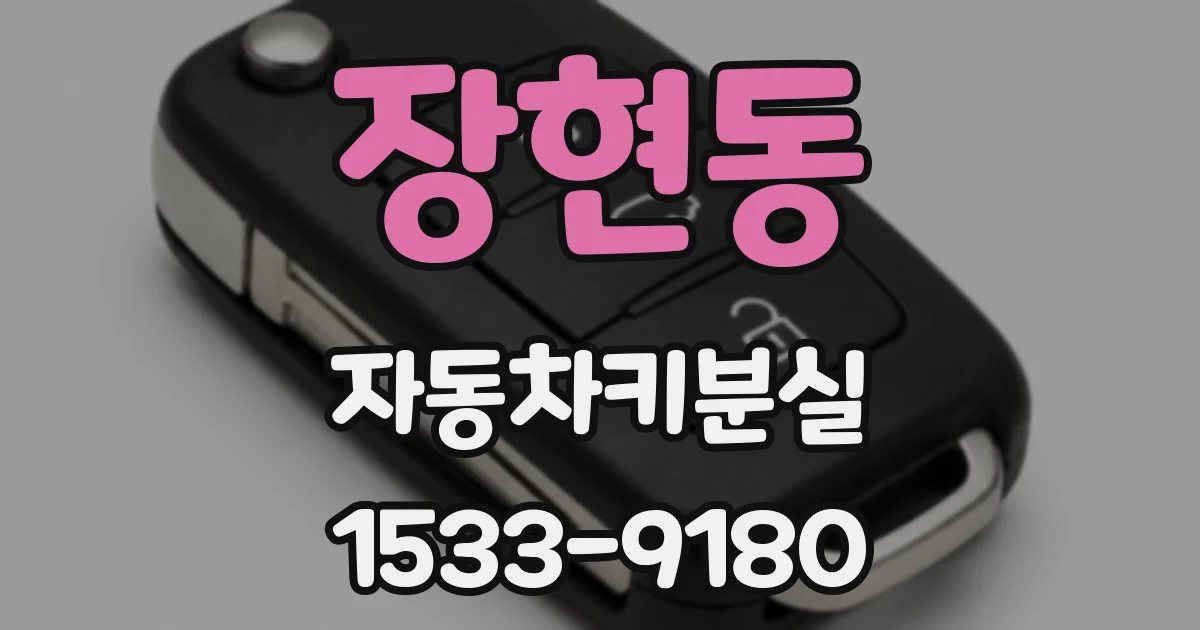 장현동 자동차키분실