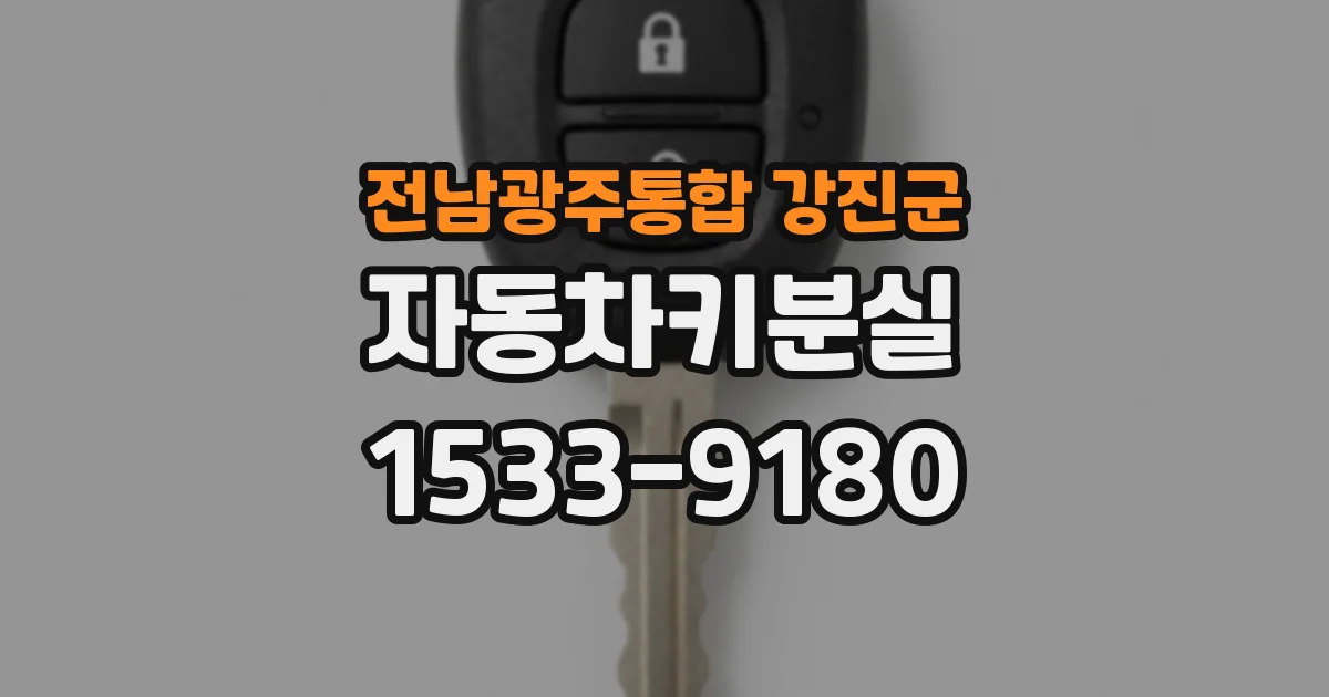 전남광주통합 강진군 자동차키분실