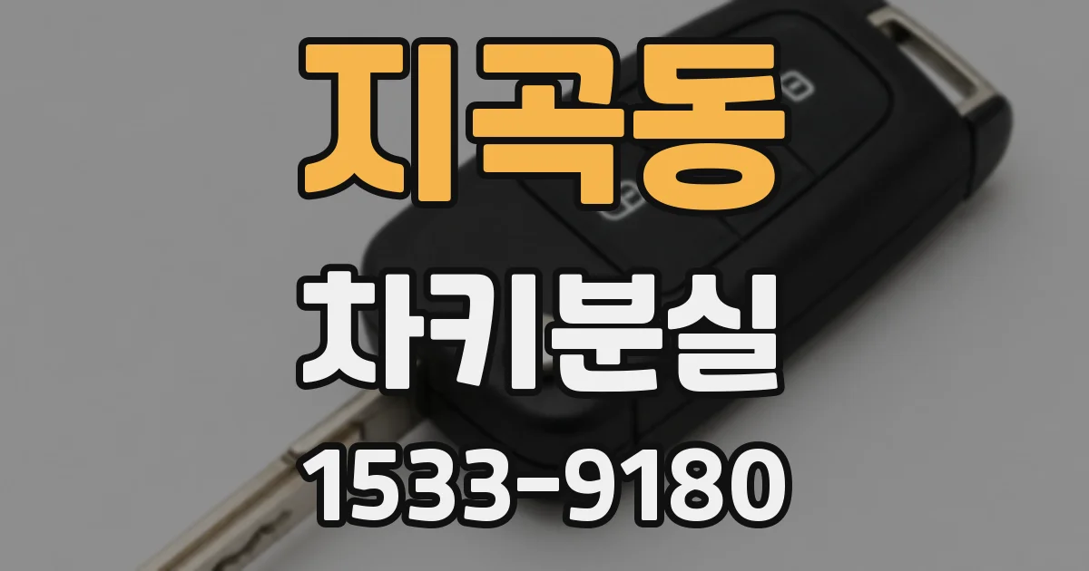 지곡동 차키분실