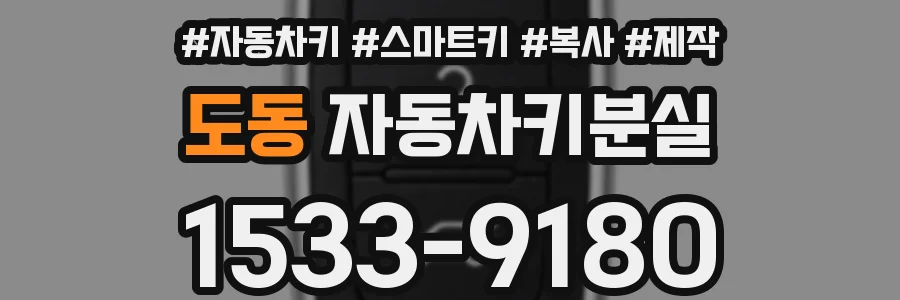 도동 자동차키분실