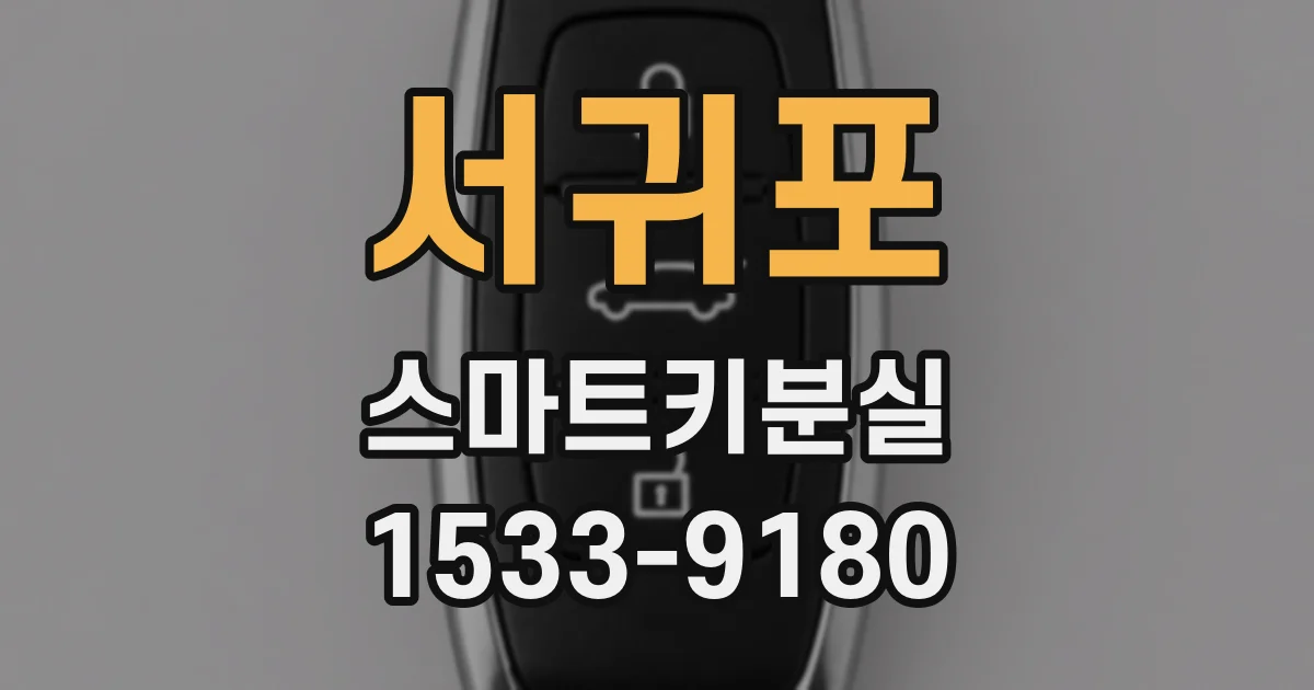 서귀포 스마트키분실