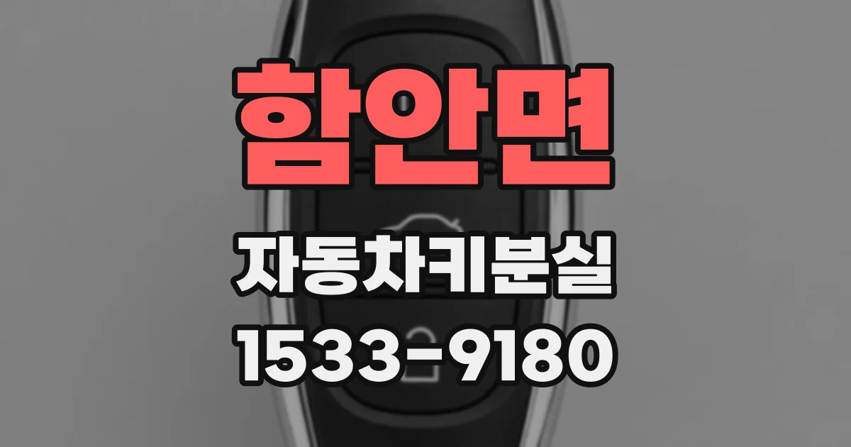 함안면 자동차키분실