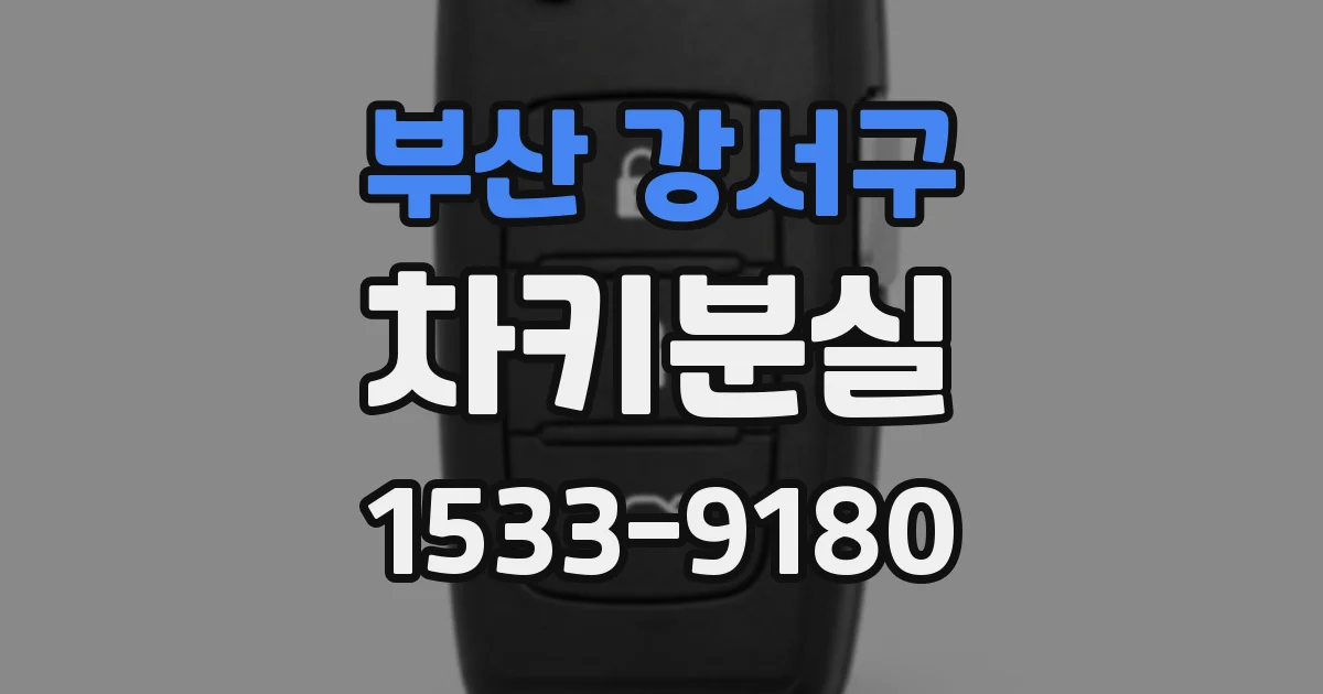 부산 강서구 차키분실