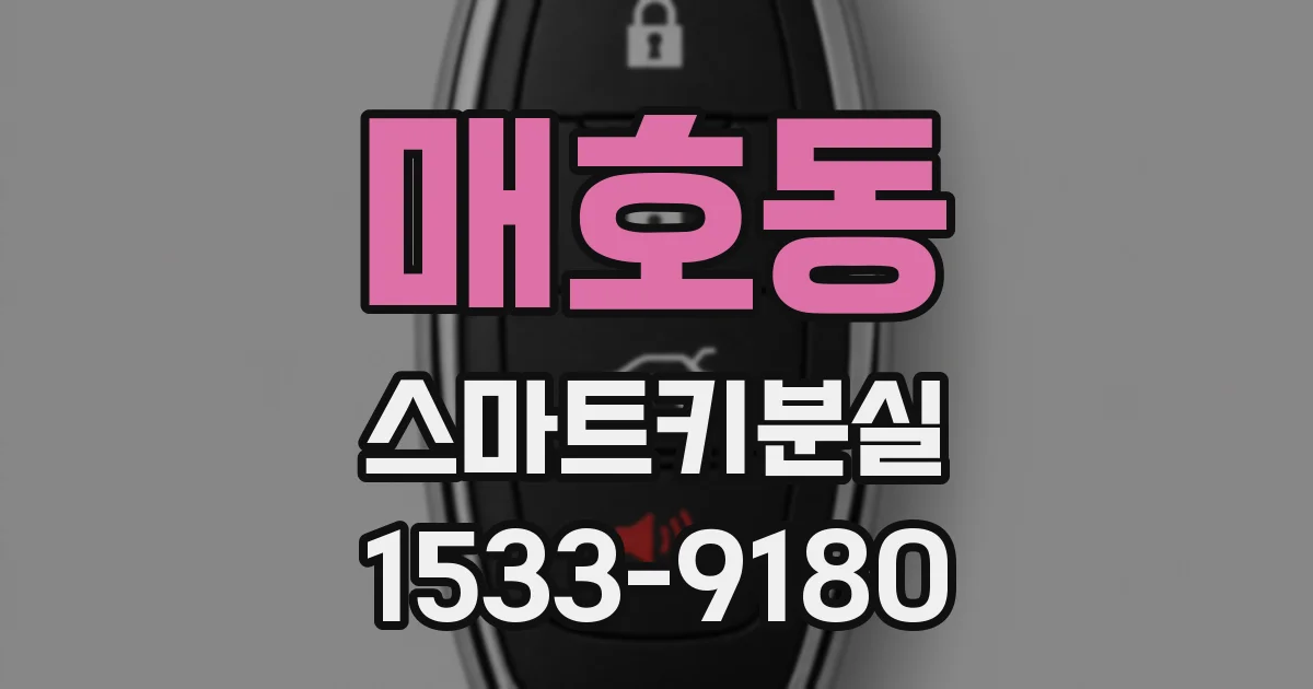 매호동 스마트키분실