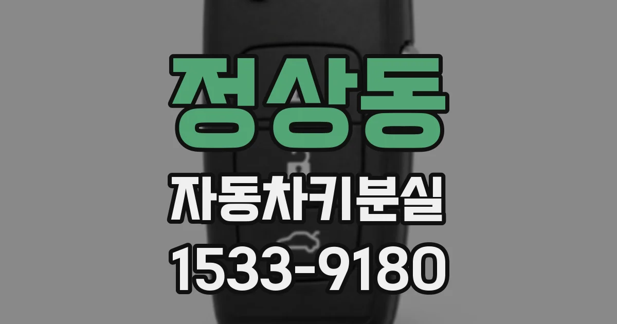 정상동 자동차키분실