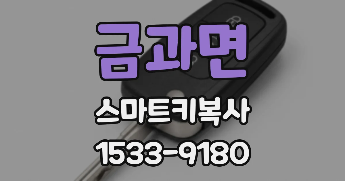금과면 스마트키복사