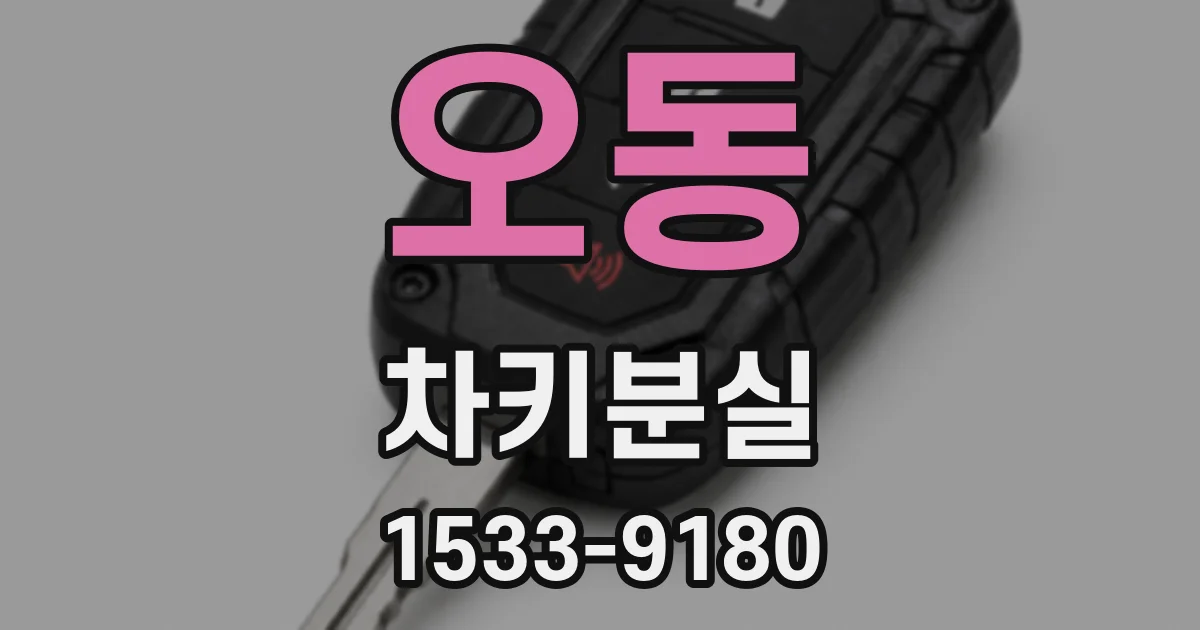 오동 차키분실