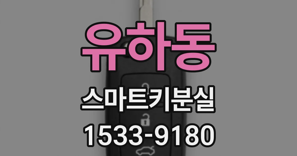 유하동 스마트키분실