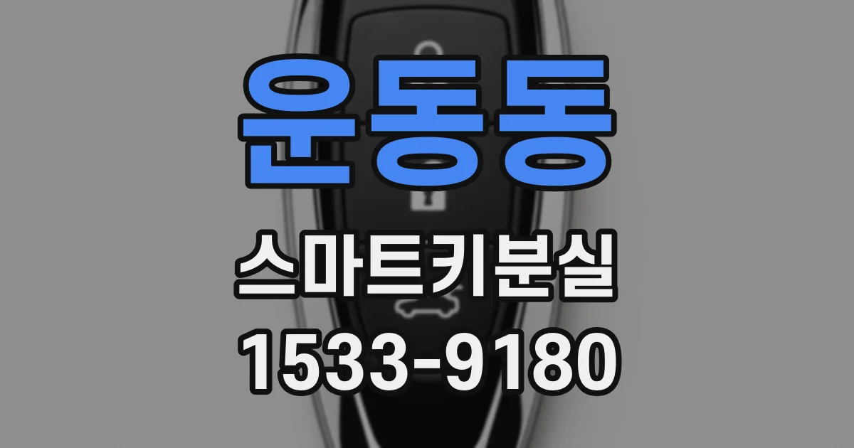 운동동 스마트키분실
