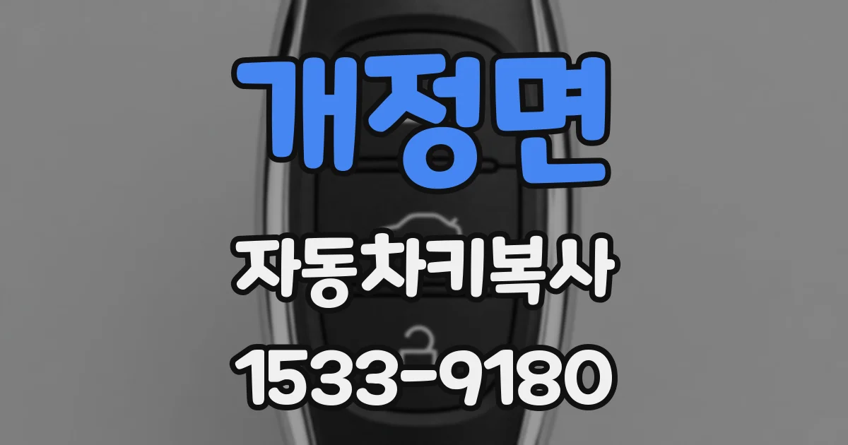 개정면 자동차키복사