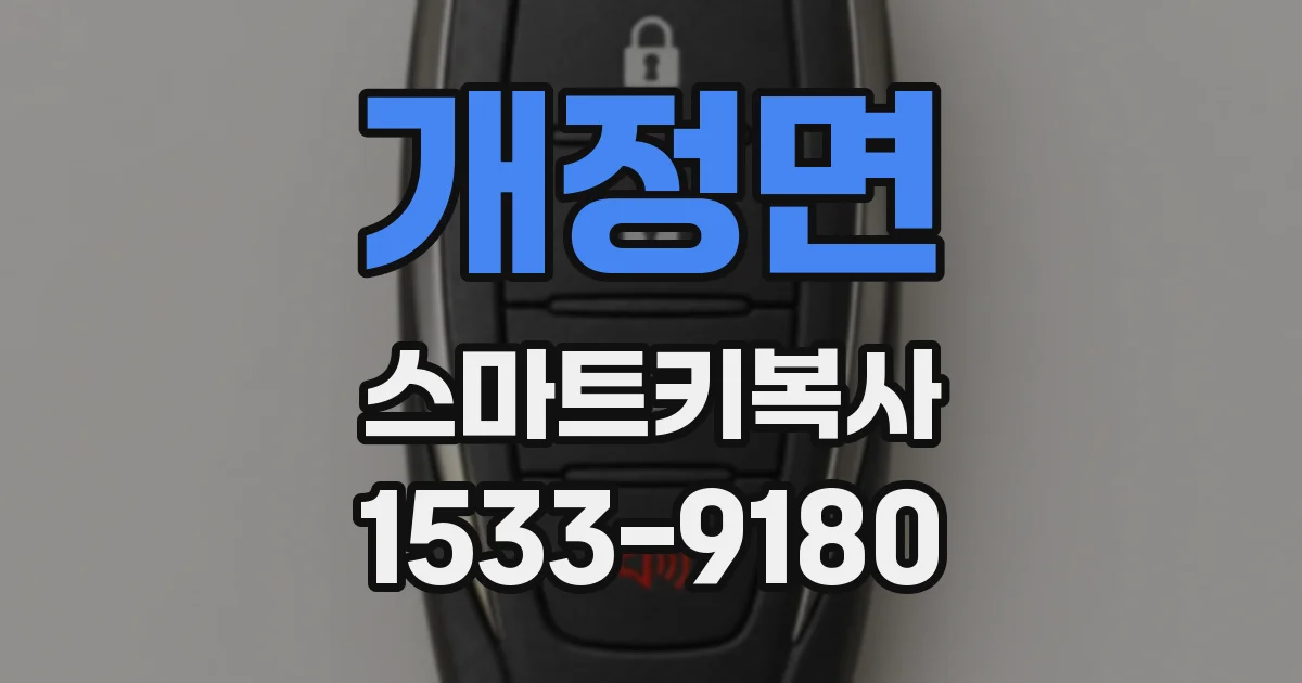 개정면 스마트키복사
