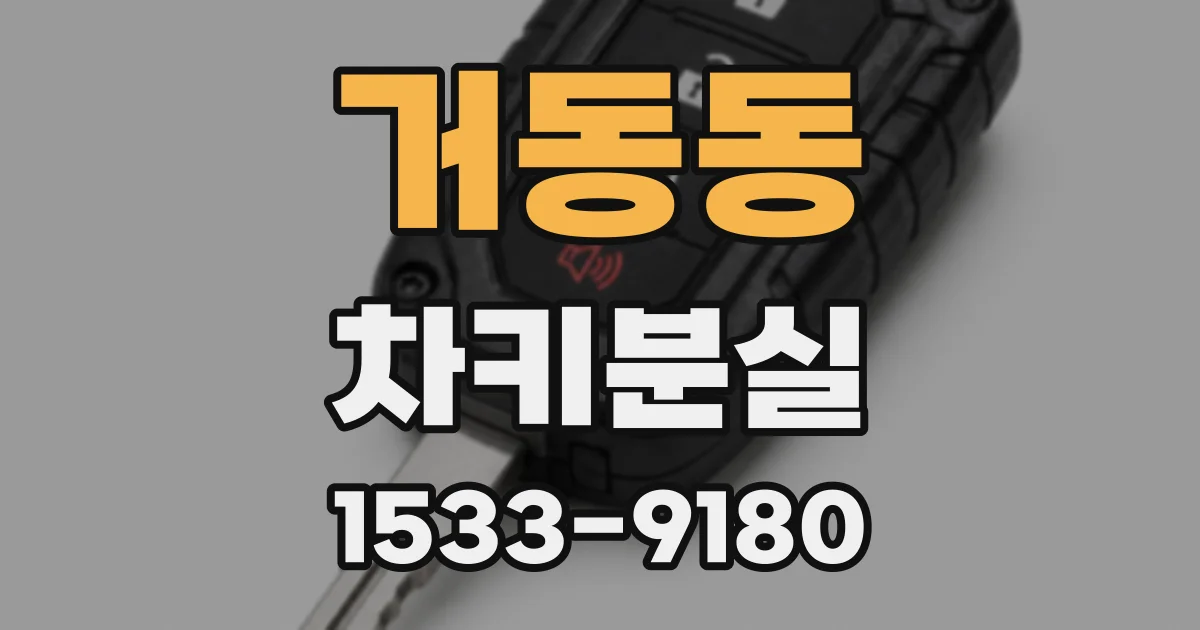 거동동 차키분실