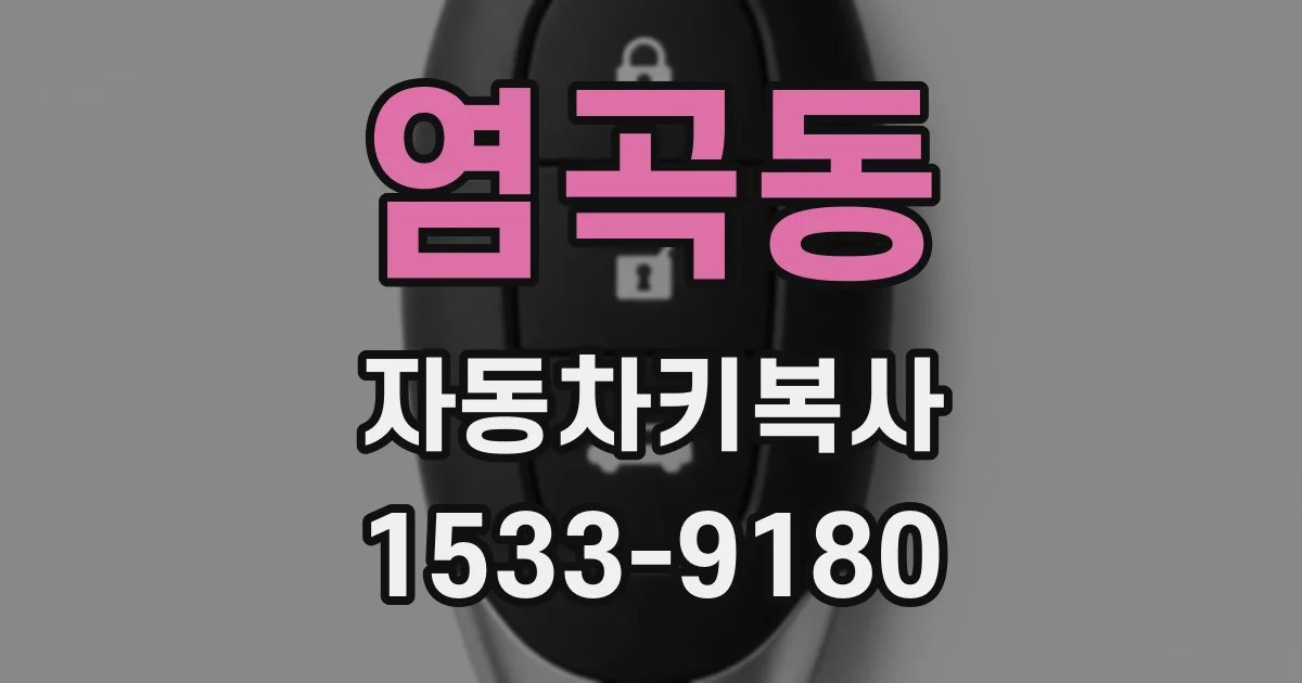 염곡동 자동차키복사