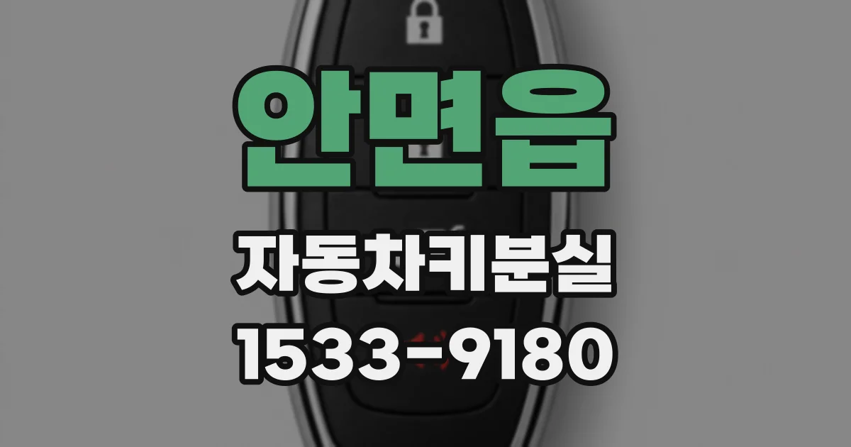 안면읍 자동차키분실
