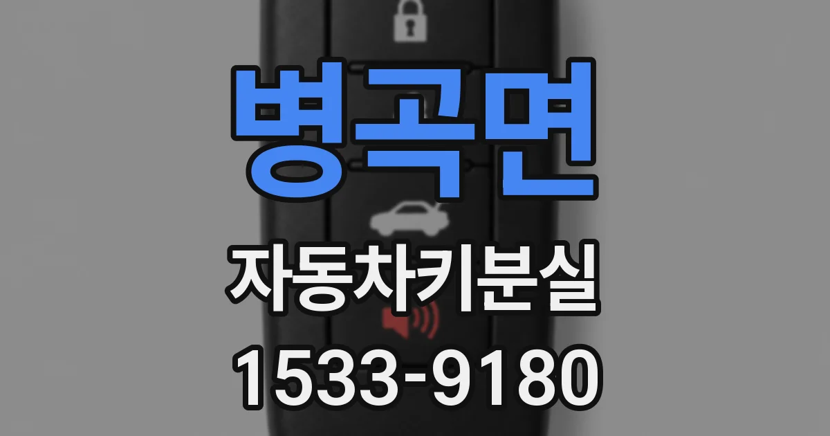 병곡면 자동차키분실