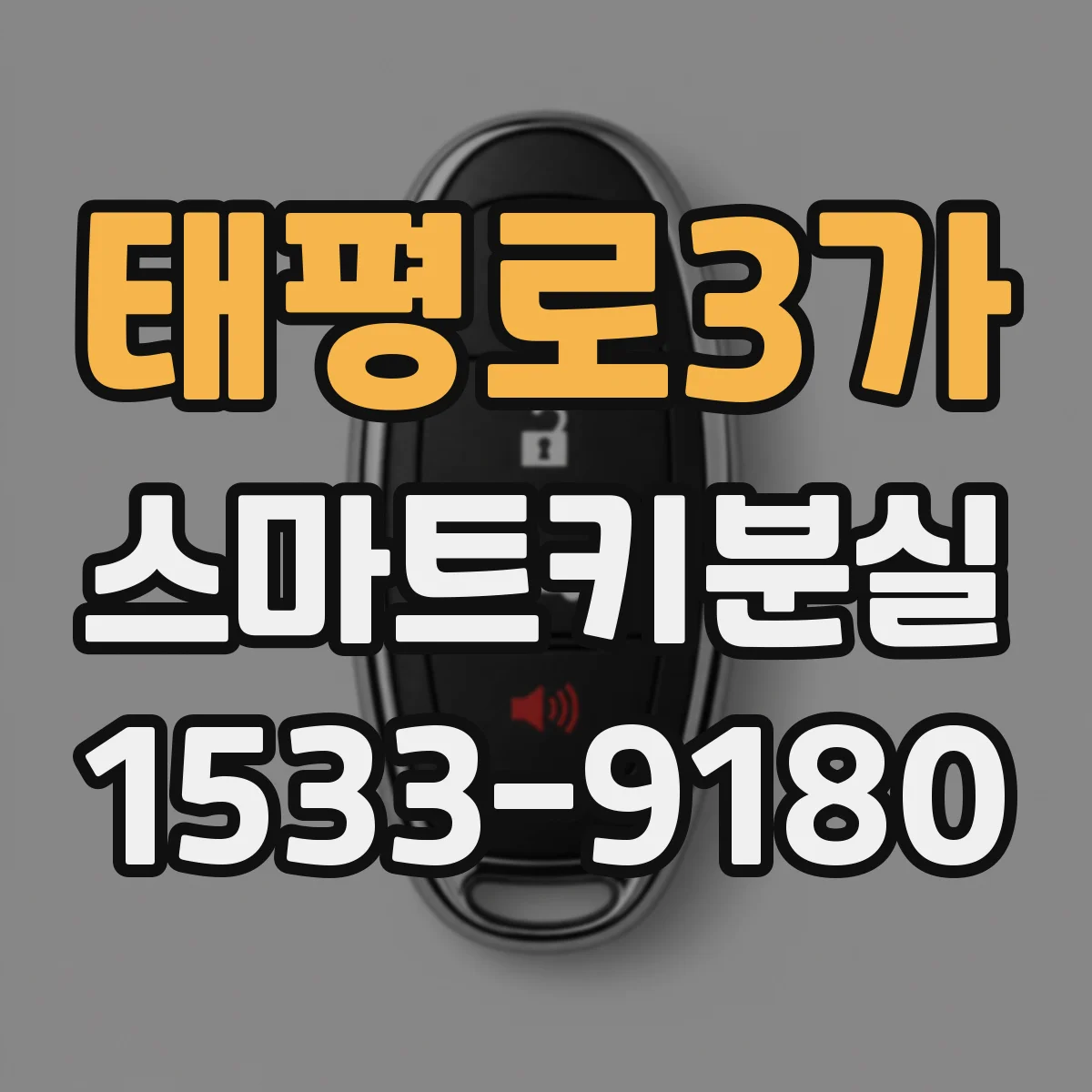 태평로3가 스마트키분실