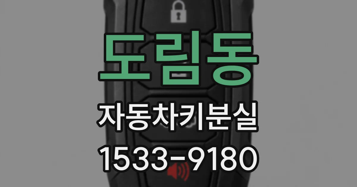 도림동 자동차키분실