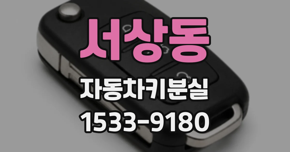 서상동 자동차키분실