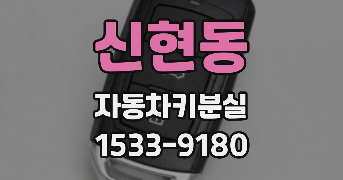 신현동 자동차키분실