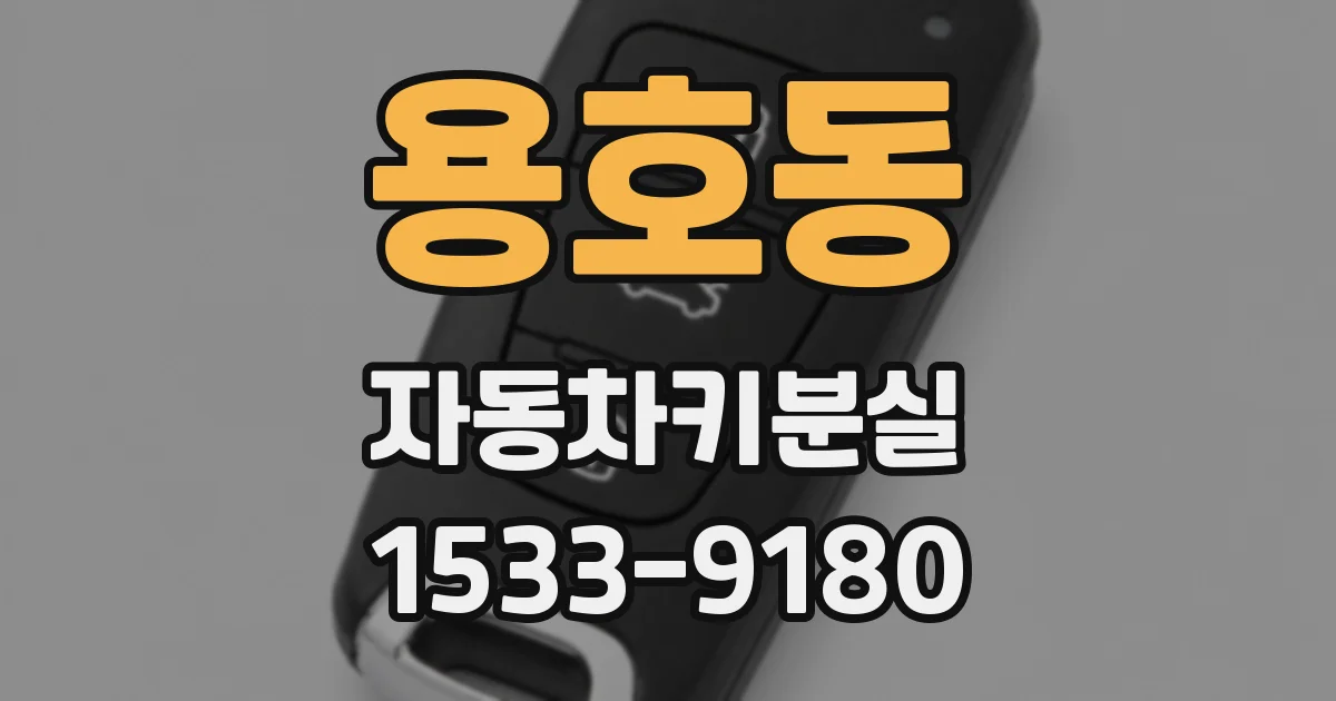 용호동 자동차키분실