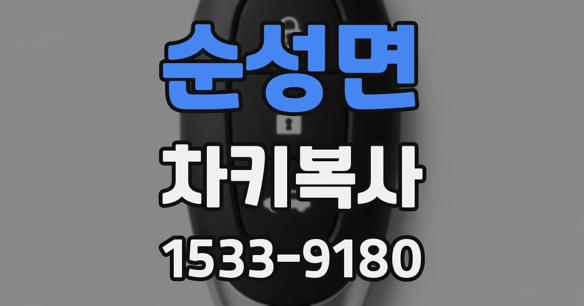 순성면 차키복사